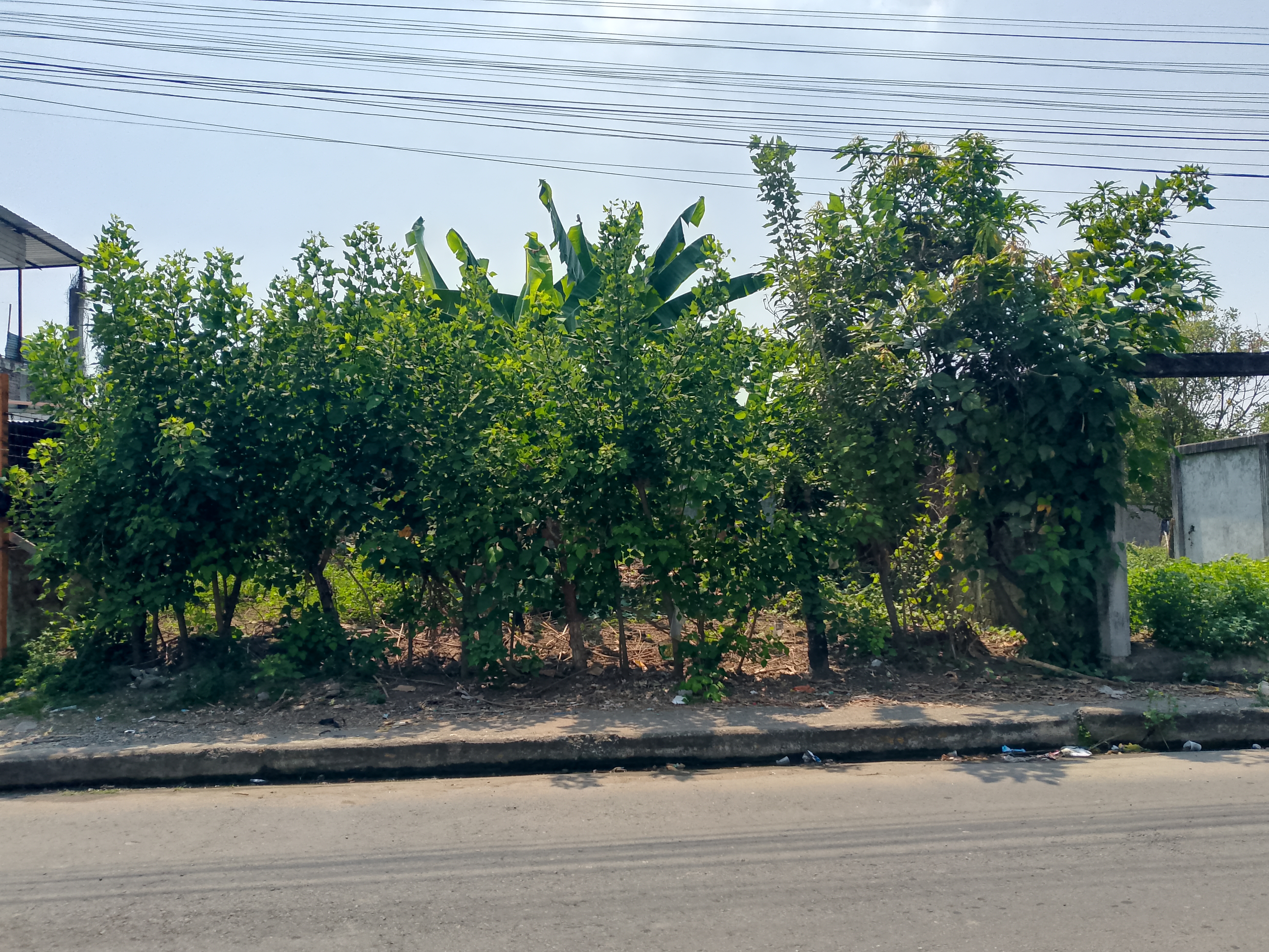 img-property