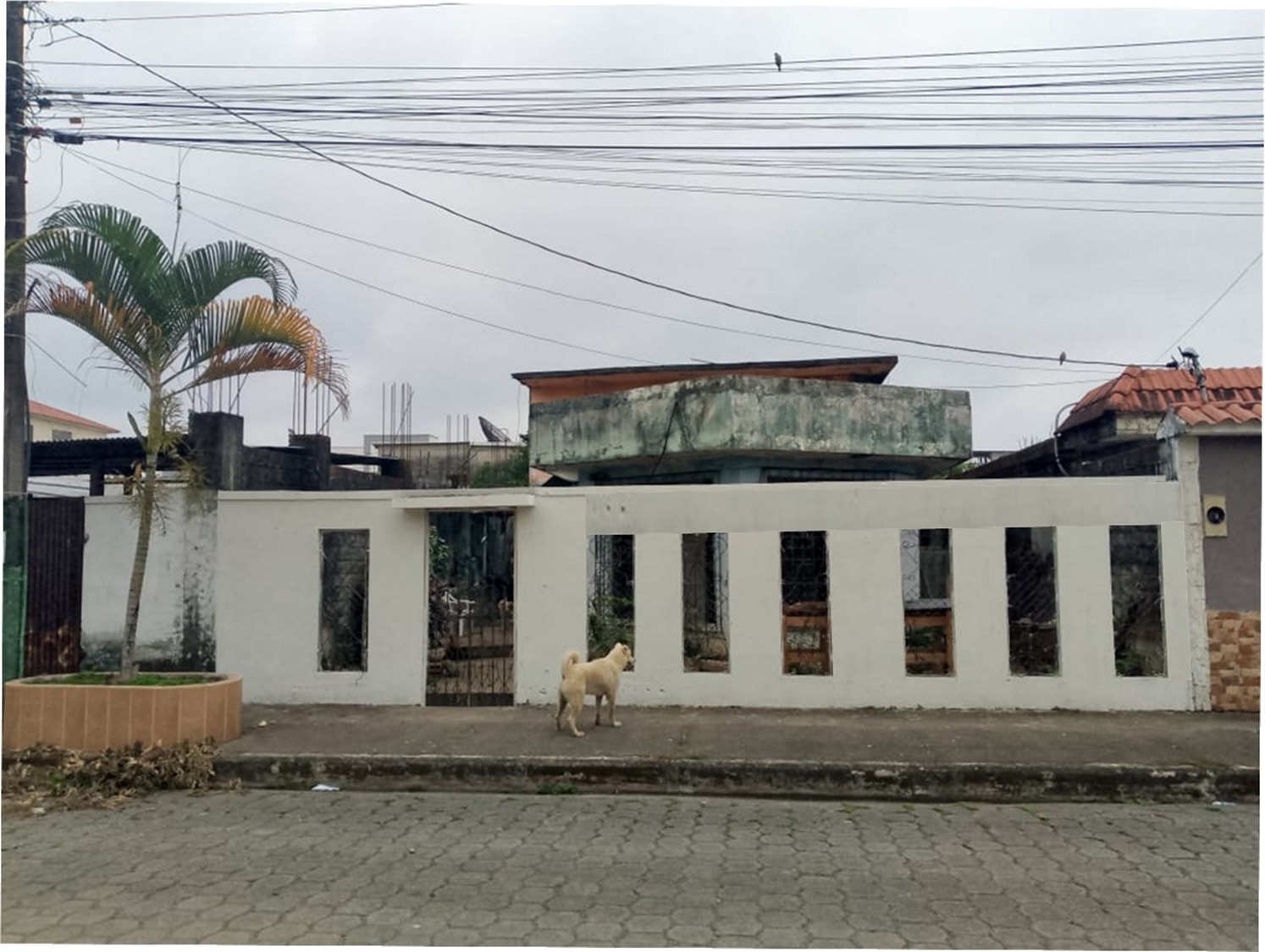 img-property