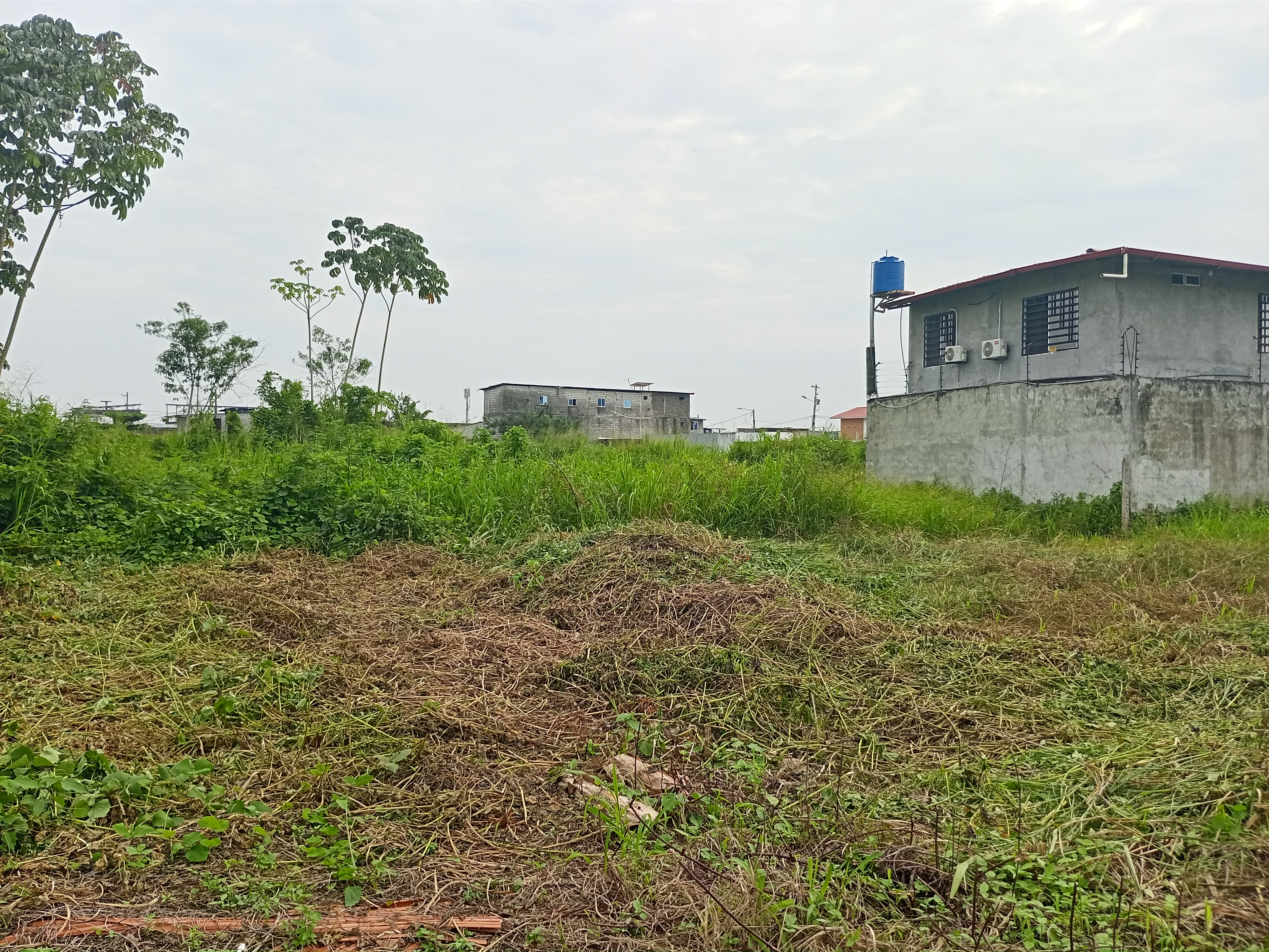 img-property