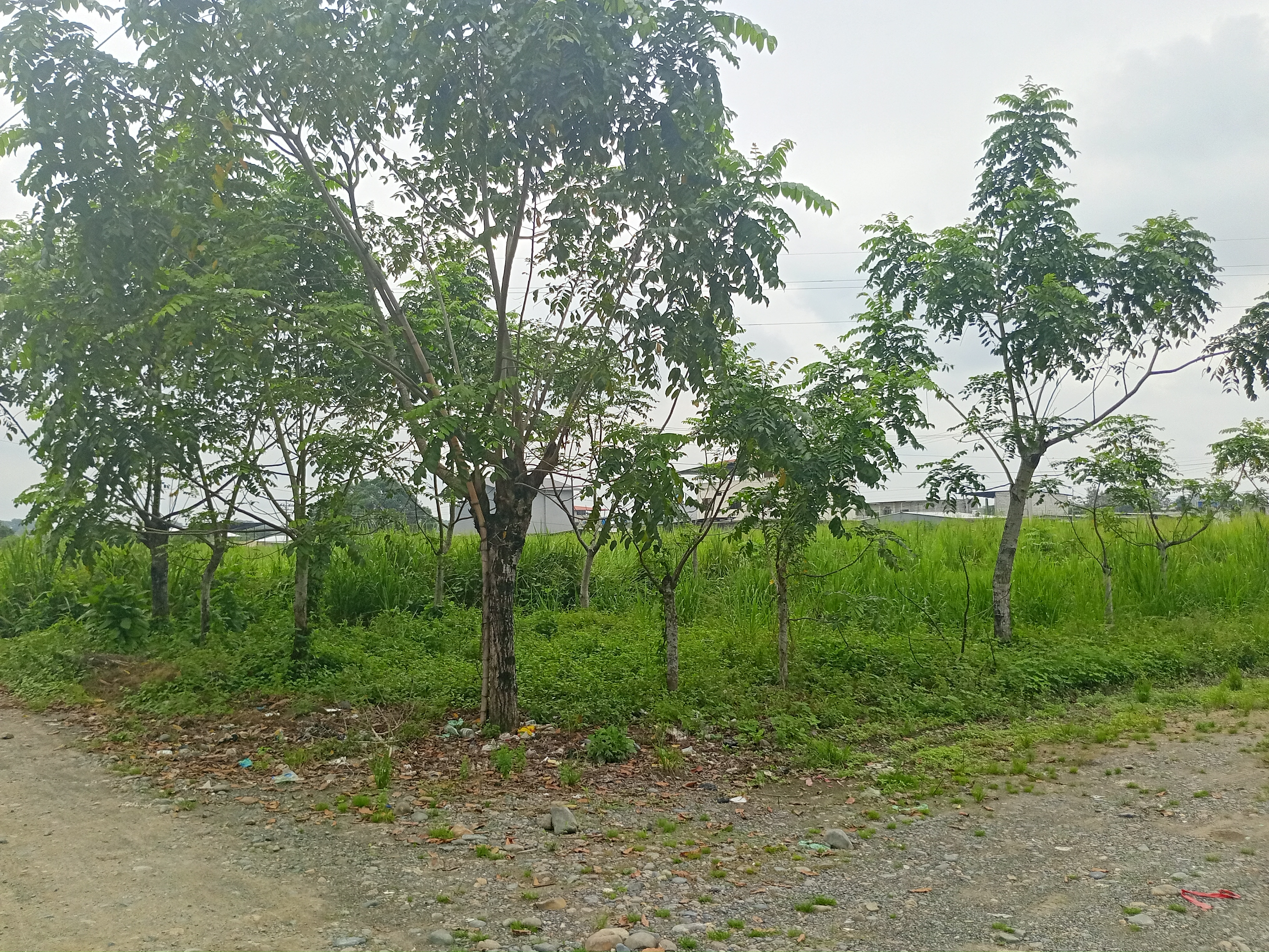 img-property